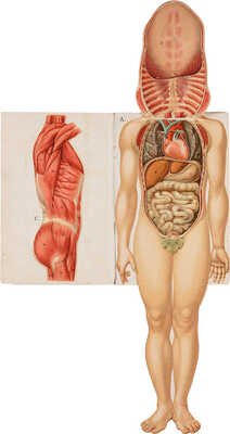 Платен М. Новый способ лечения. Лечение целебными силами природы. [В 4-х томах]. Т. 1-4. СПб., [1902-1909].